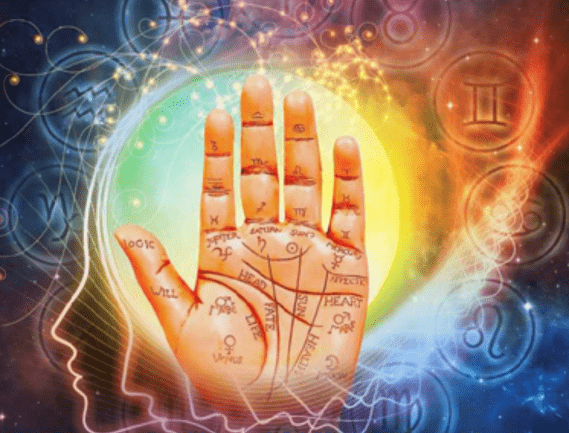 Service Provider of Palmist in , , .